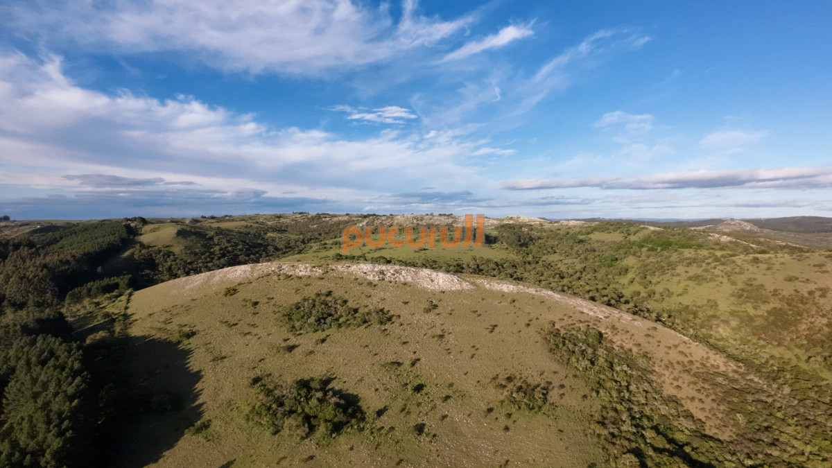 Chacra ID.1744 - Unicas 150 hectáreas en un lugar excepcional; entre Maldonado y Minas! Sierra del Carapé
