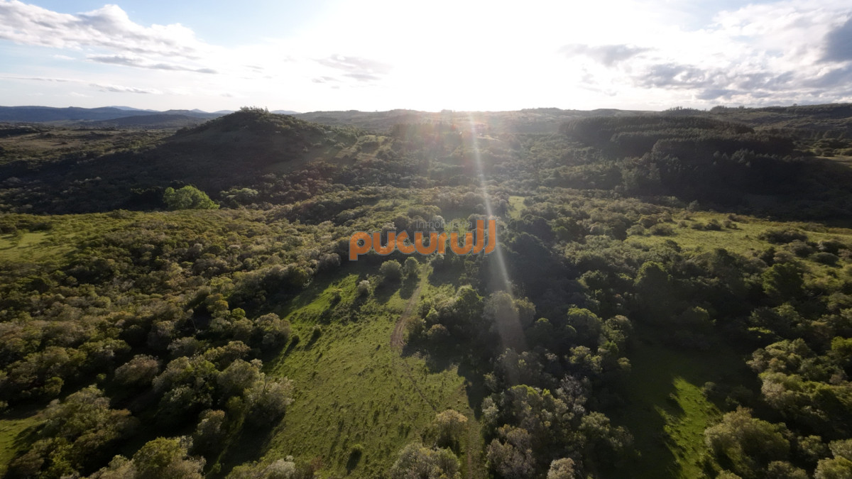 Chacra ID.1744 - Unicas 150 hectáreas en un lugar excepcional; entre Maldonado y Minas! Sierra del Carapé