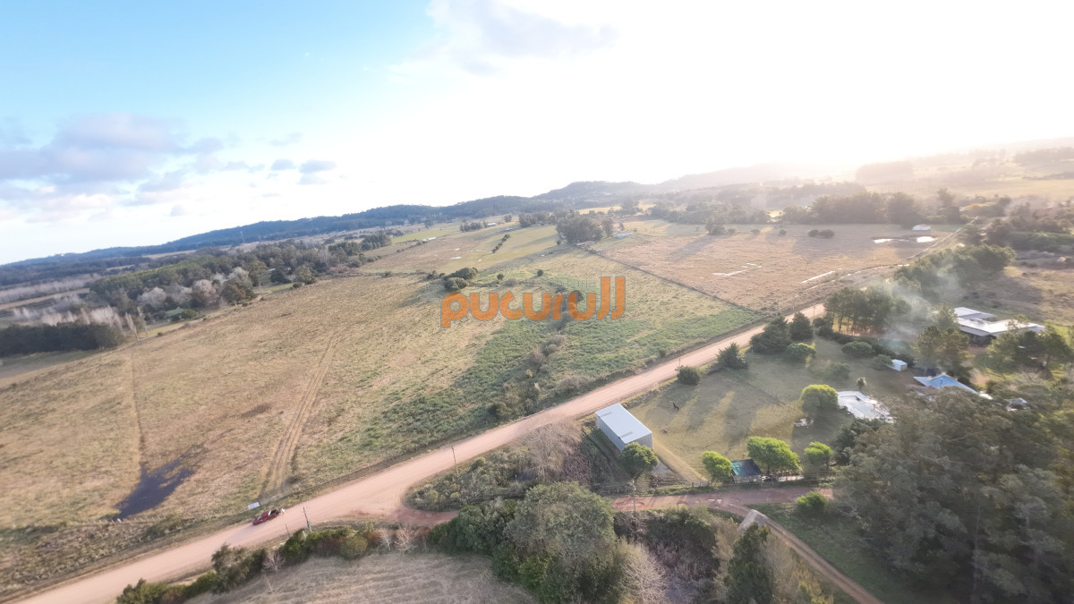 La Pataia - GoPunta - Portal Inmobiliario de Punta del Este - Maldonado
