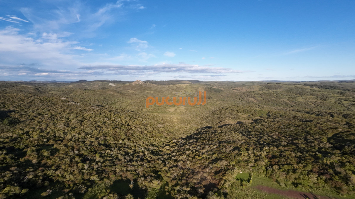 Chacra ID.1744 - Unicas 150 hectáreas en un lugar excepcional; entre Maldonado y Minas! Sierra del Carapé