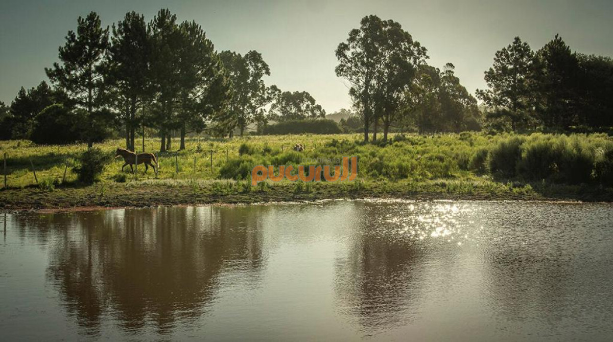 Chacra ID.1703 - 
