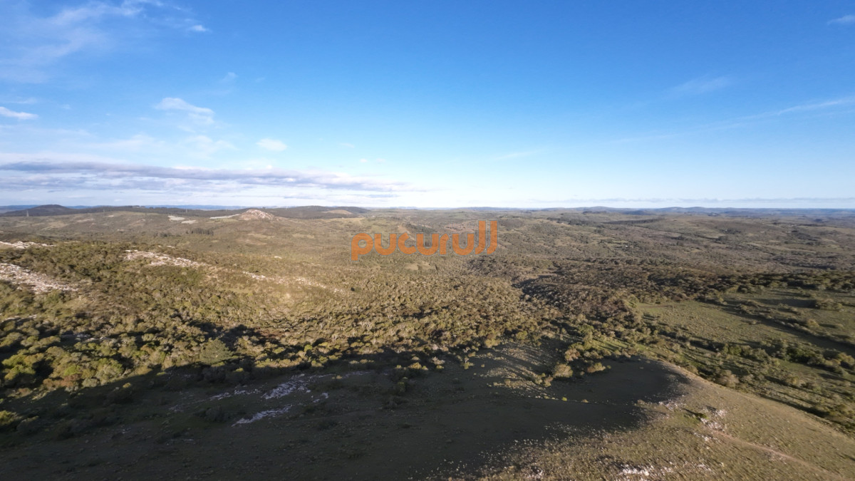 Chacra ID.1744 - Unicas 150 hectáreas en un lugar excepcional; entre Maldonado y Minas! Sierra del Carapé