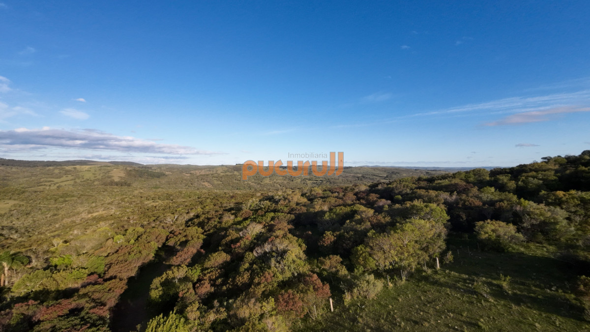 Chacra ID.1744 - Unicas 150 hectáreas en un lugar excepcional; entre Maldonado y Minas! Sierra del Carapé