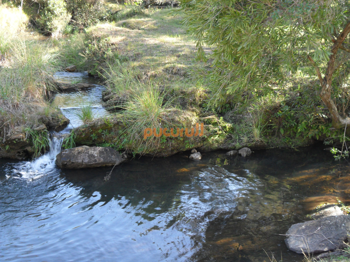 Chacra ID.2265 - 