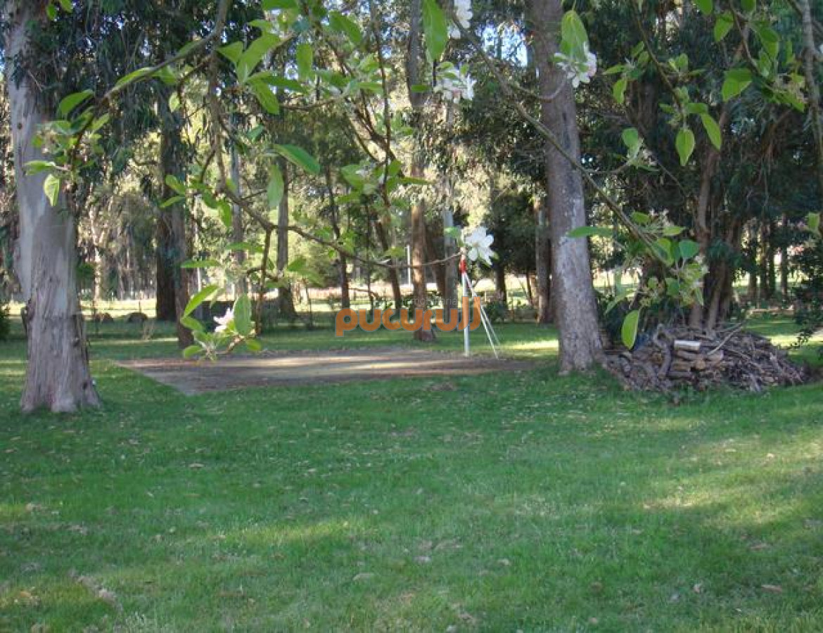 Chacra ID.1147 - 