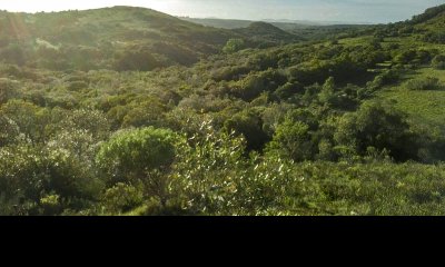 Chacra 35 Hás. en un Lugar excepcional; entre Maldonado y Minas! Sierra del Carapé