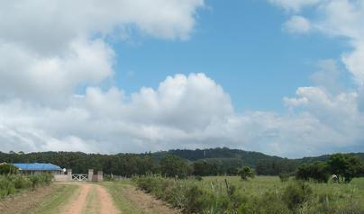 Chacra en venta Punta Ballena La Pataia