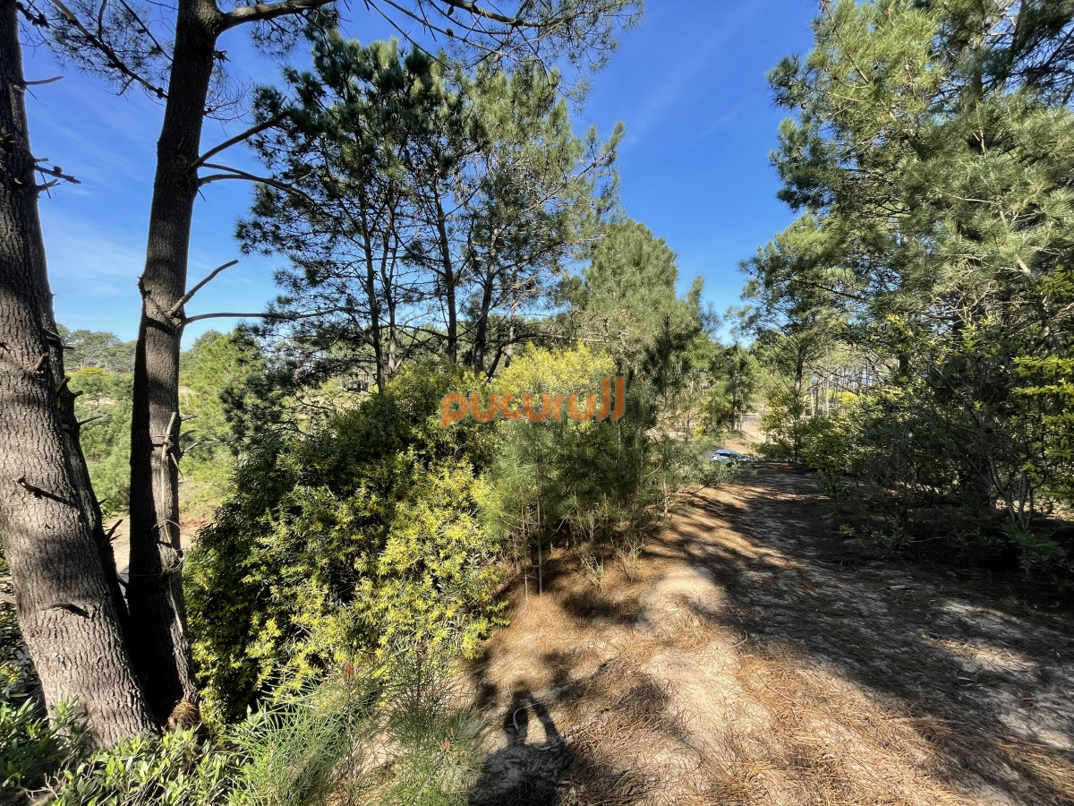 Terreno ID.1351 - Terreno en Punta Ballena, Chihuahua