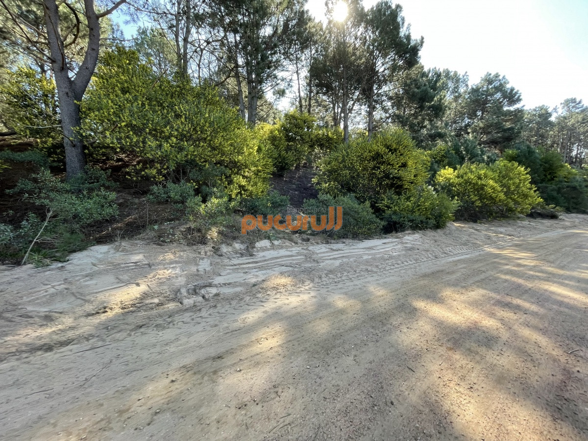 Terreno en Punta Ballena, Chihuahua
