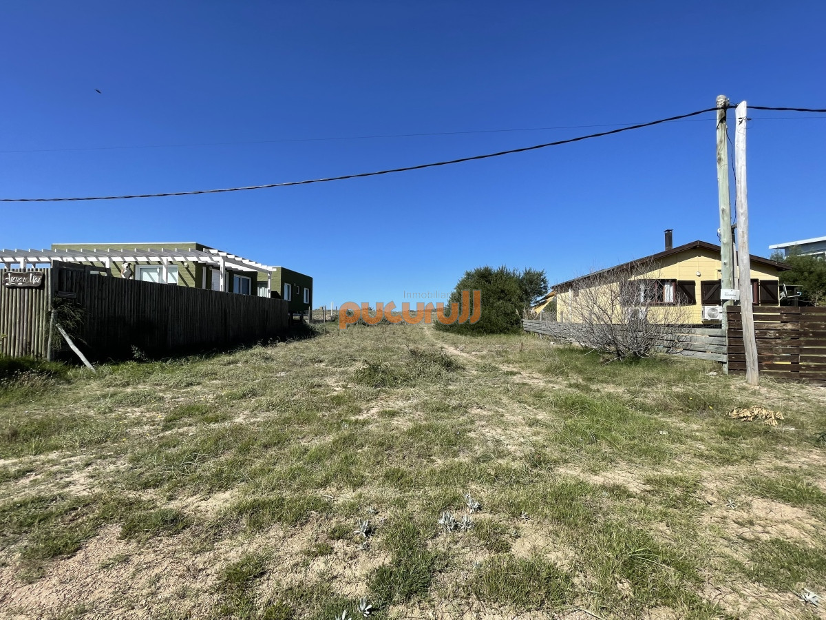 Sauce de Portezuelo - GoPunta - Portal Inmobiliario de Punta del Este - Maldonado