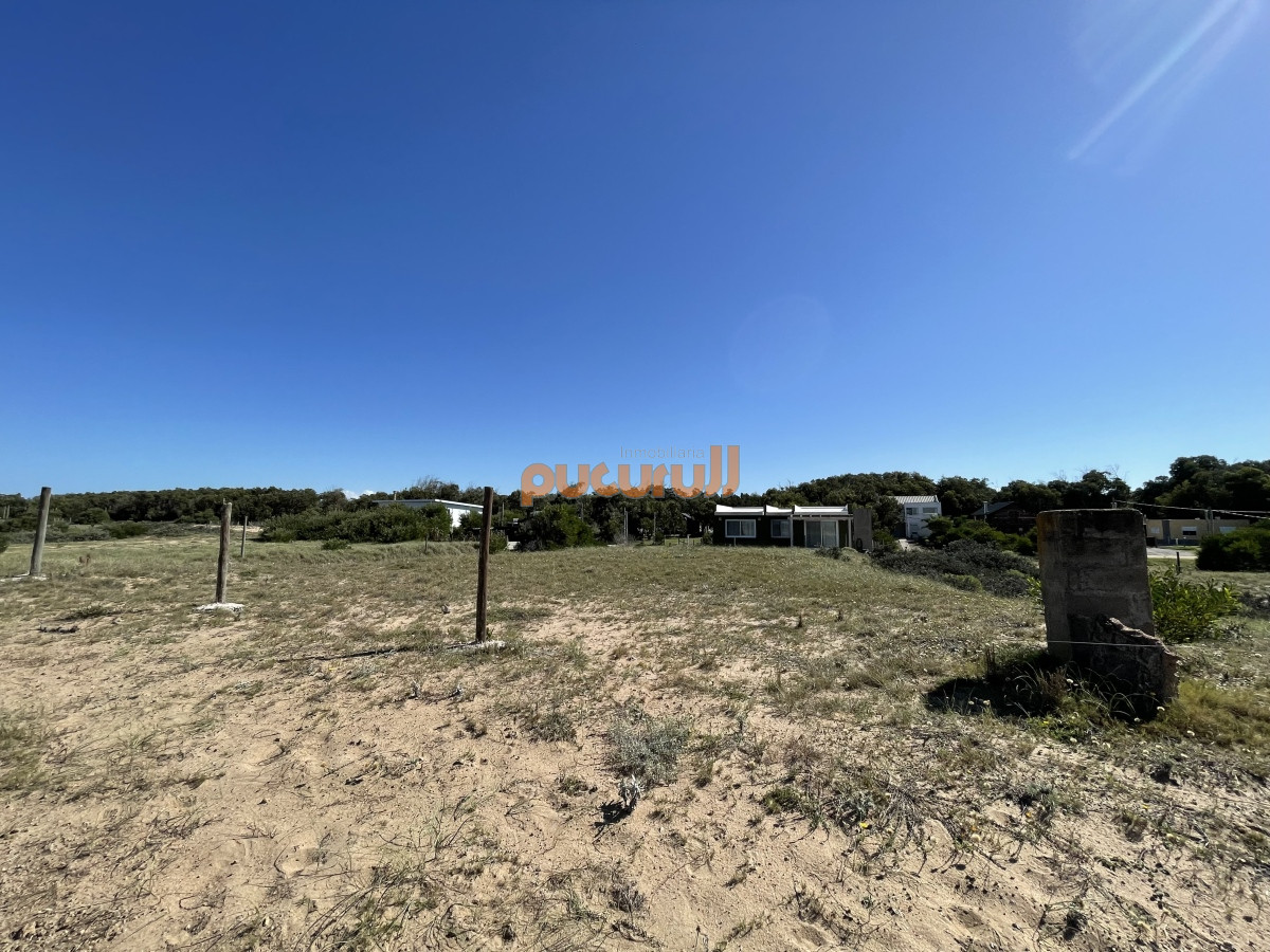Sauce de Portezuelo - GoPunta - Portal Inmobiliario de Punta del Este - Maldonado