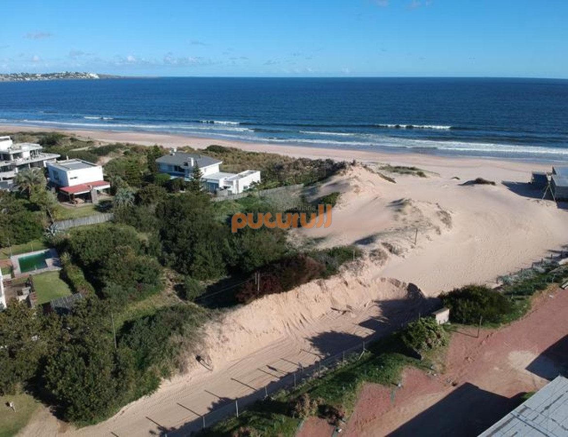 Tio Tom - GoPunta - Portal Inmobiliario de Punta del Este - Maldonado