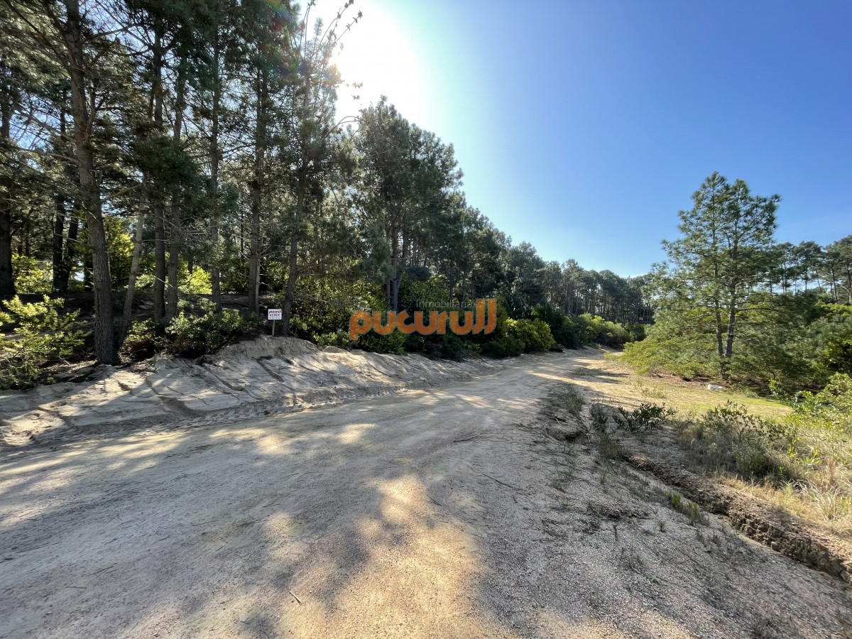 Terreno ID.1351 - Terreno en Punta Ballena, Chihuahua