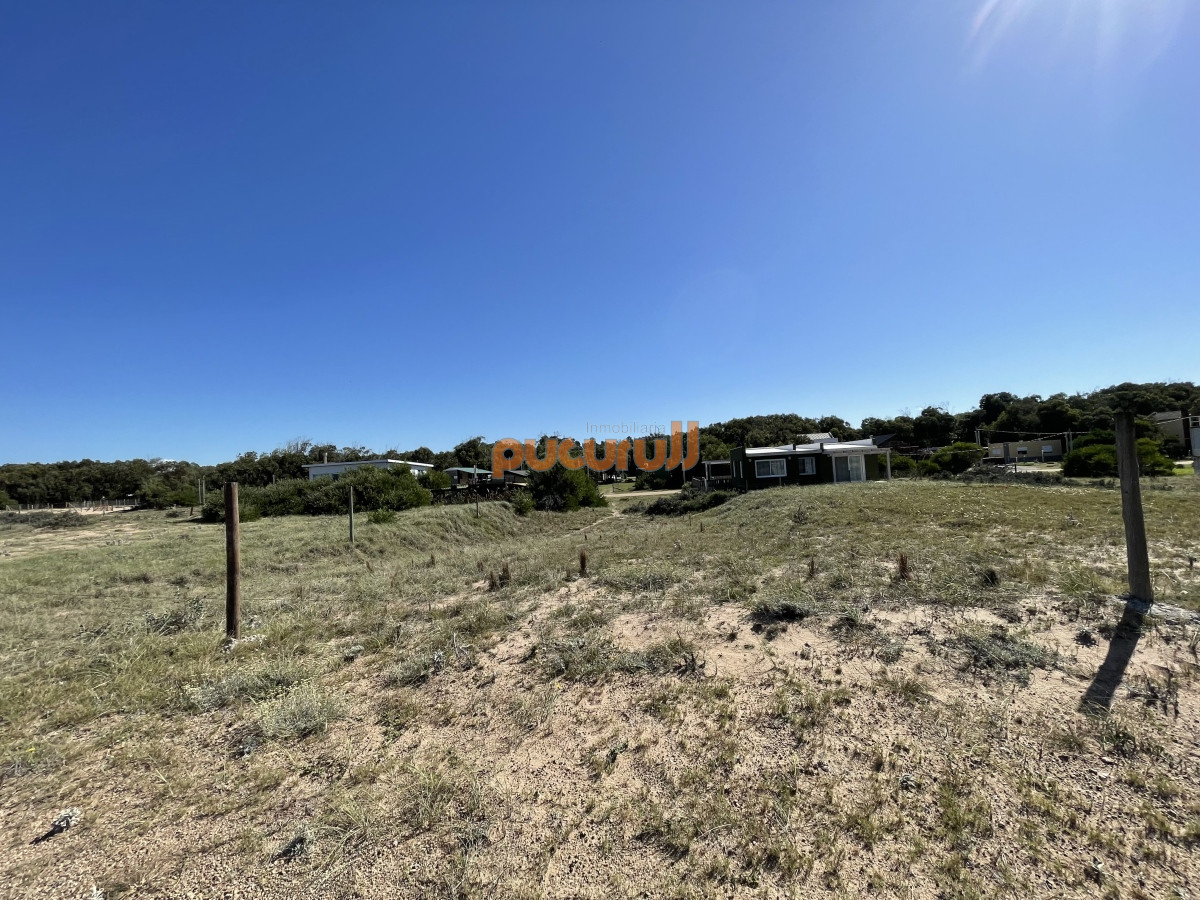 Sauce de Portezuelo - GoPunta - Portal Inmobiliario de Punta del Este - Maldonado