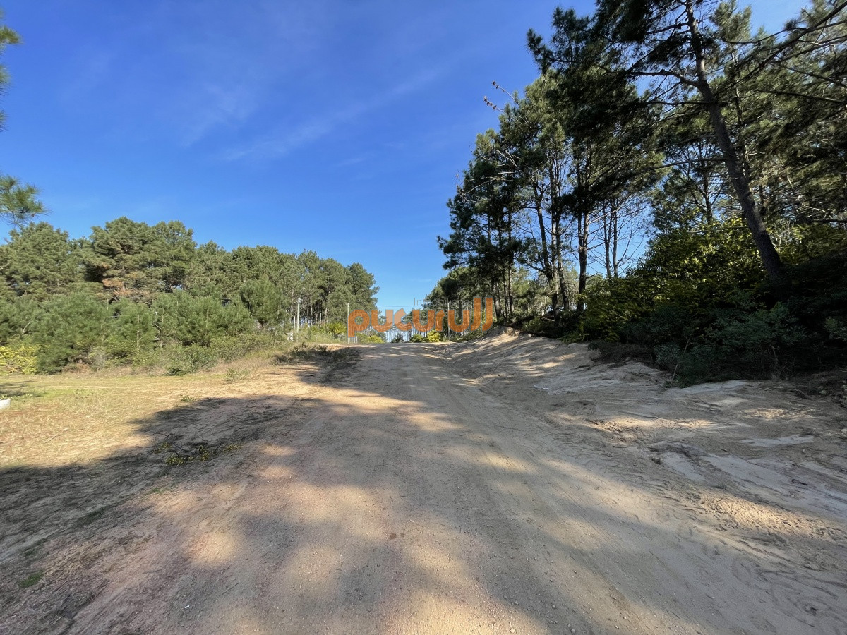 Terreno ID.1351 - Terreno en Punta Ballena, Chihuahua