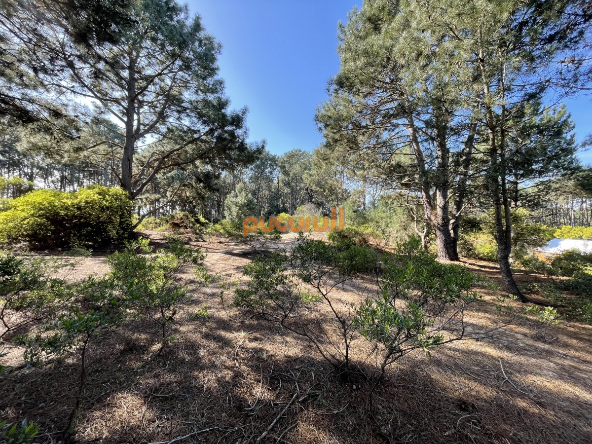 Terreno ID.1352 - Terreno en Punta Ballena, Chihuahua