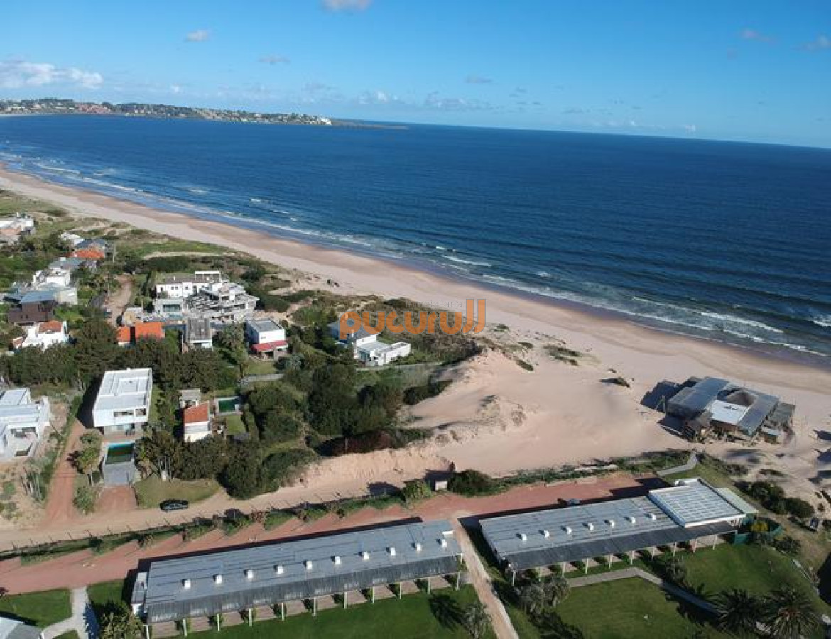 Tio Tom - GoPunta - Portal Inmobiliario de Punta del Este - Maldonado