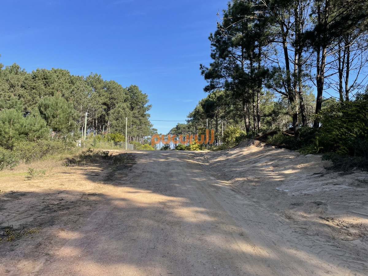 Terreno ID.1352 - Terreno en Punta Ballena, Chihuahua