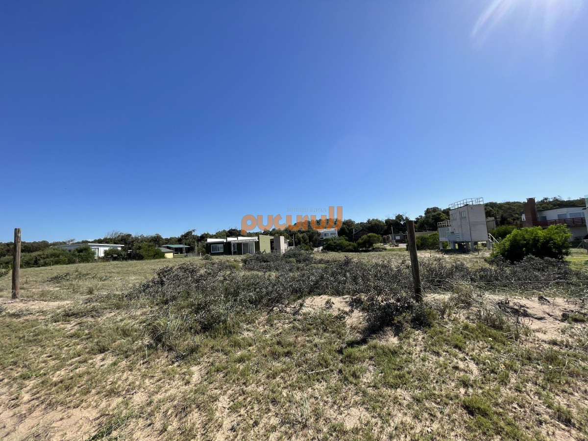 Sauce de Portezuelo - GoPunta - Portal Inmobiliario de Punta del Este - Maldonado