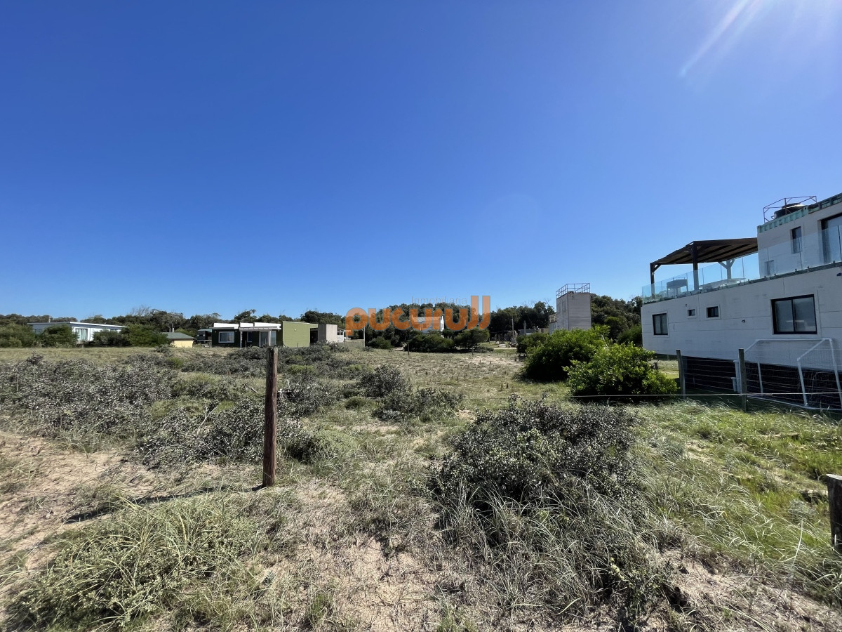Sauce de Portezuelo - GoPunta - Portal Inmobiliario de Punta del Este - Maldonado