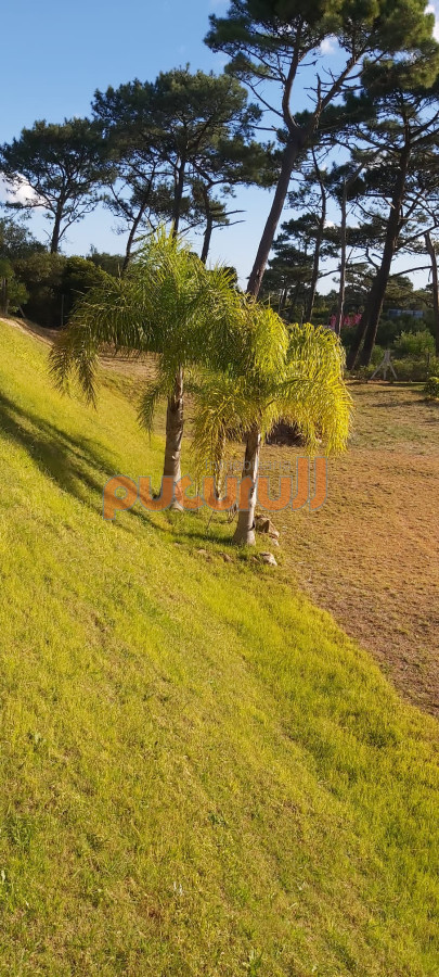 Terreno ID.1283 - Terreno en Punta Ballena, Club del Lago