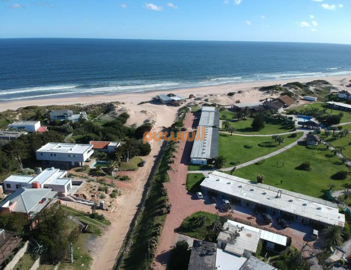 Tio Tom - GoPunta - Portal Inmobiliario de Punta del Este - Maldonado