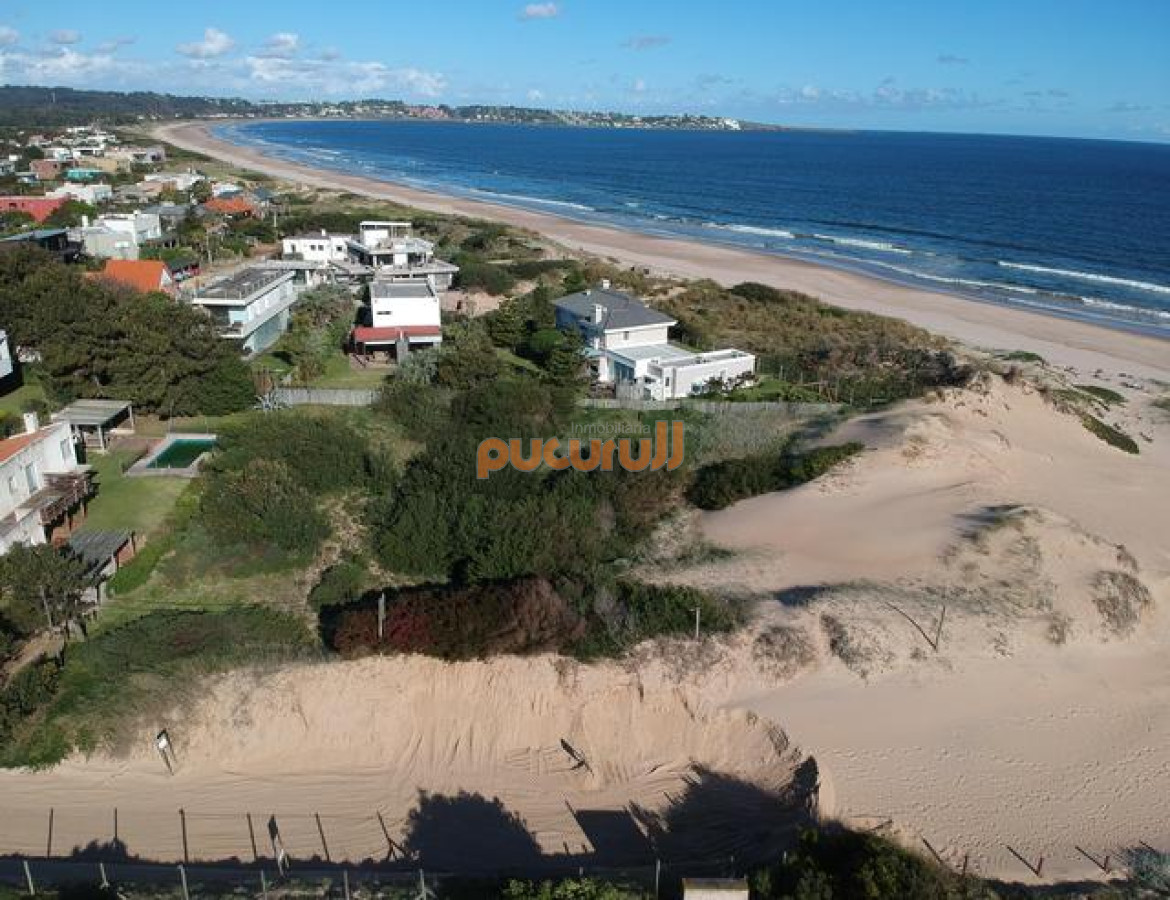 Tio Tom - GoPunta - Portal Inmobiliario de Punta del Este - Maldonado
