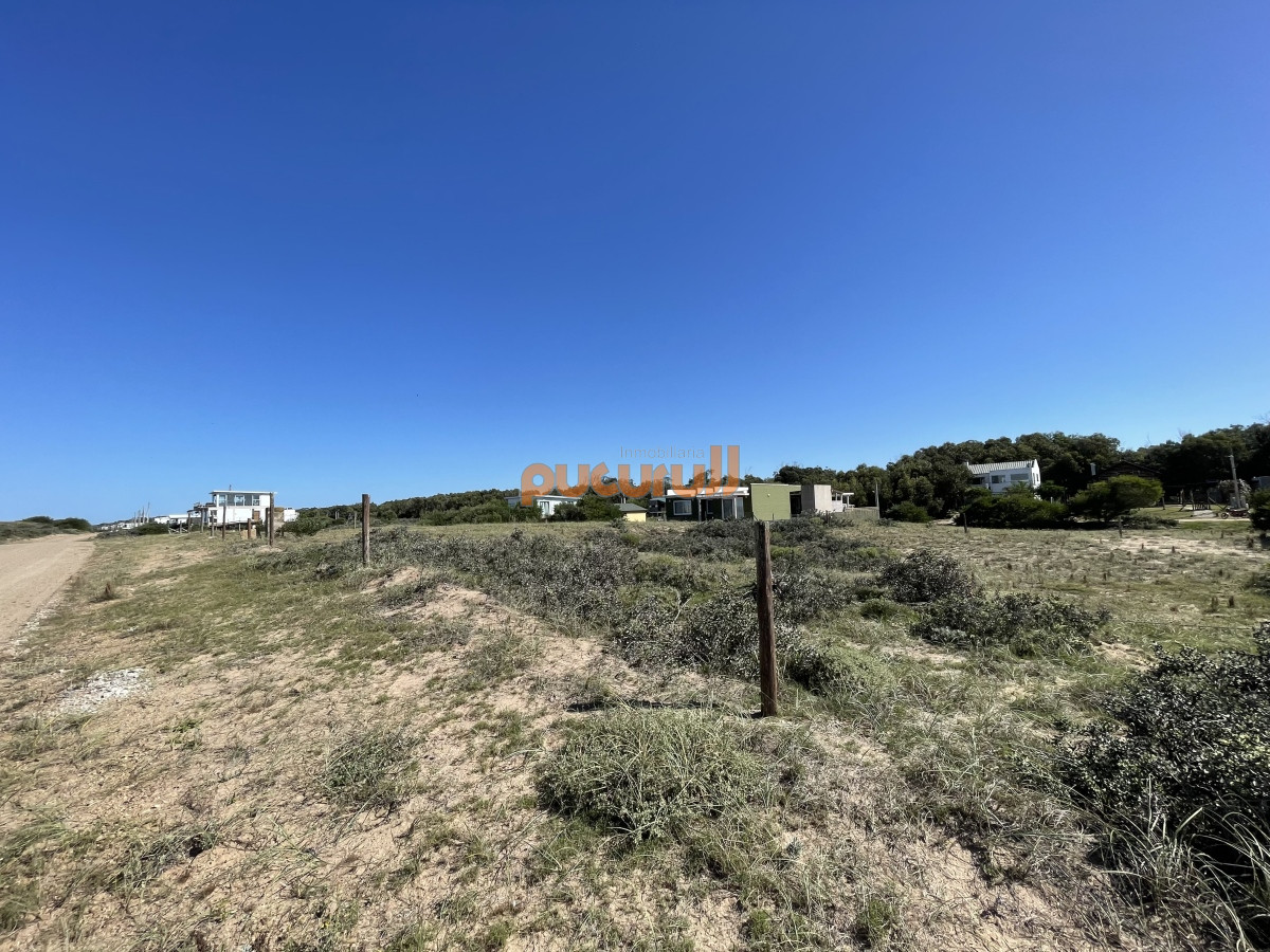 Sauce de Portezuelo - GoPunta - Portal Inmobiliario de Punta del Este - Maldonado