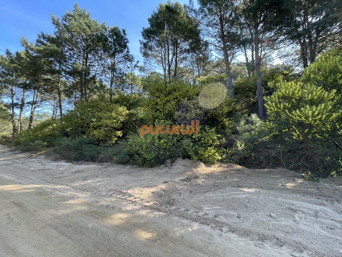 Terreno ID.1352 - Terreno en Punta Ballena, Chihuahua