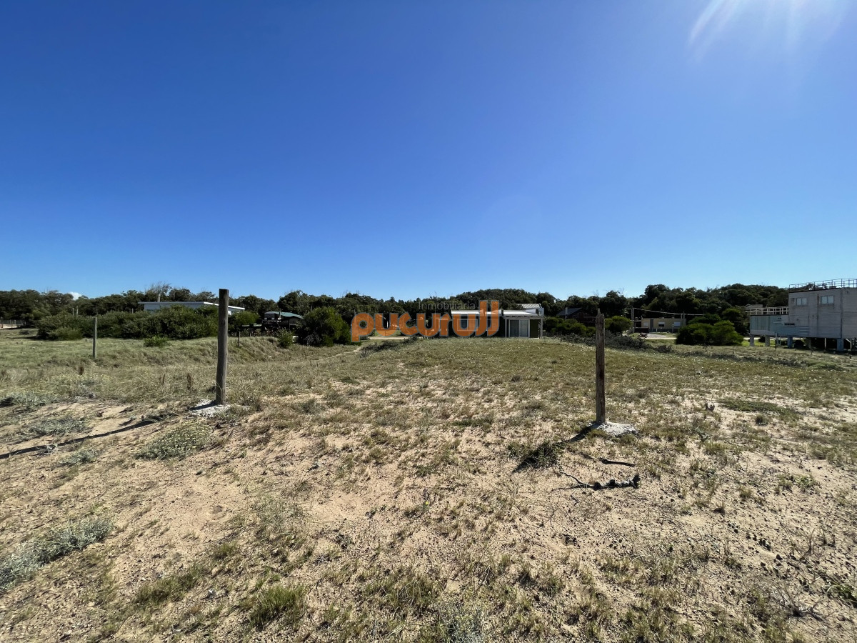Sauce de Portezuelo - GoPunta - Portal Inmobiliario de Punta del Este - Maldonado