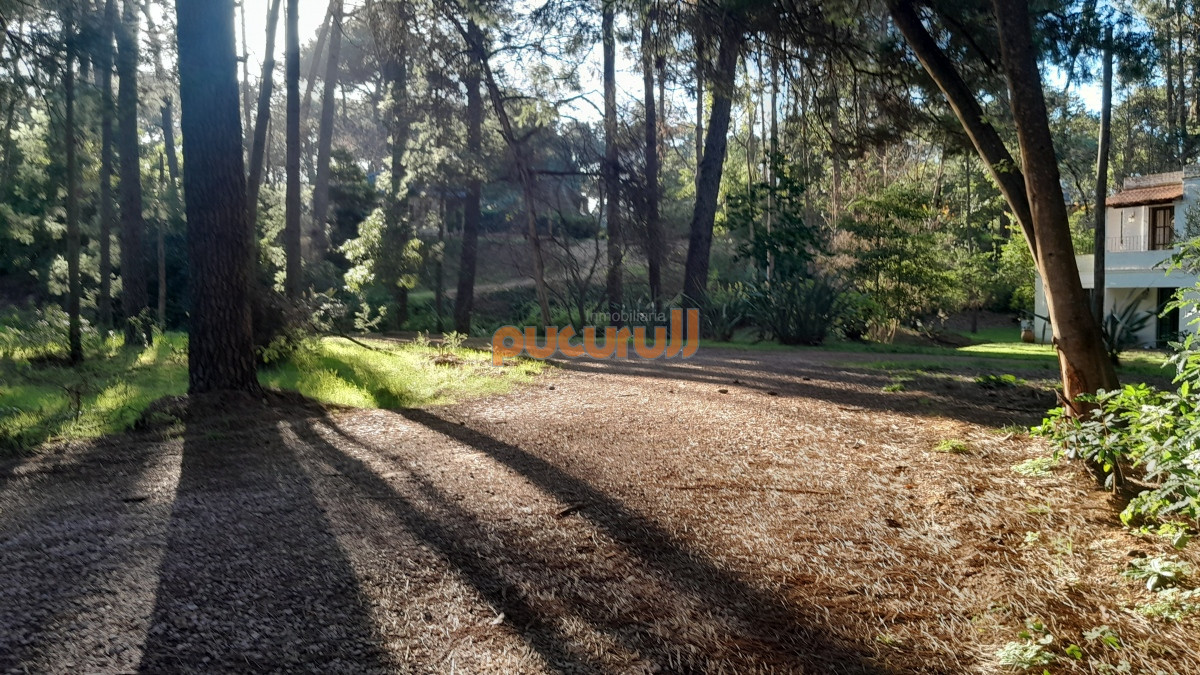 Terreno ID.1573 - Excelente Entorno de bosque!