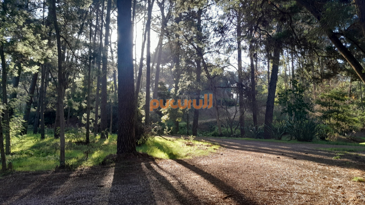 Terreno ID.1573 - Excelente Entorno de bosque!