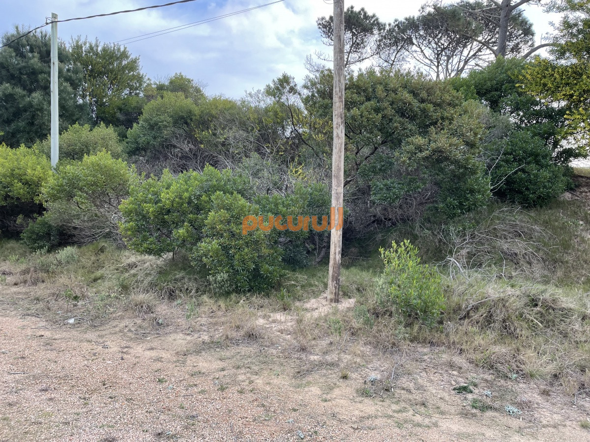 Terreno ID.742 - Chihuahua