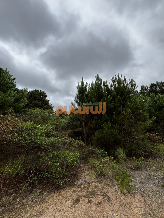 Terreno ID.1962 - Terreno en Punta Ballena, Chihuahua