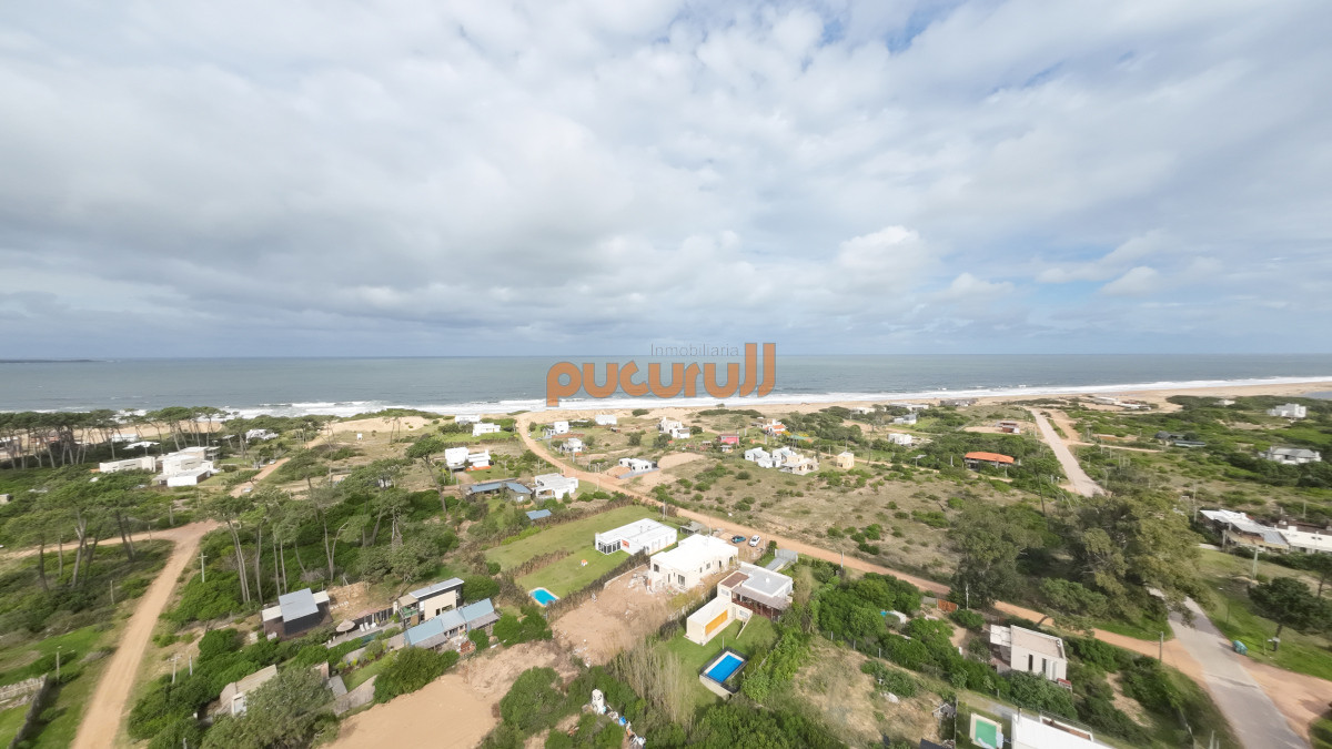 Chihuahua - GoPunta - Portal Inmobiliario de Punta del Este - Maldonado