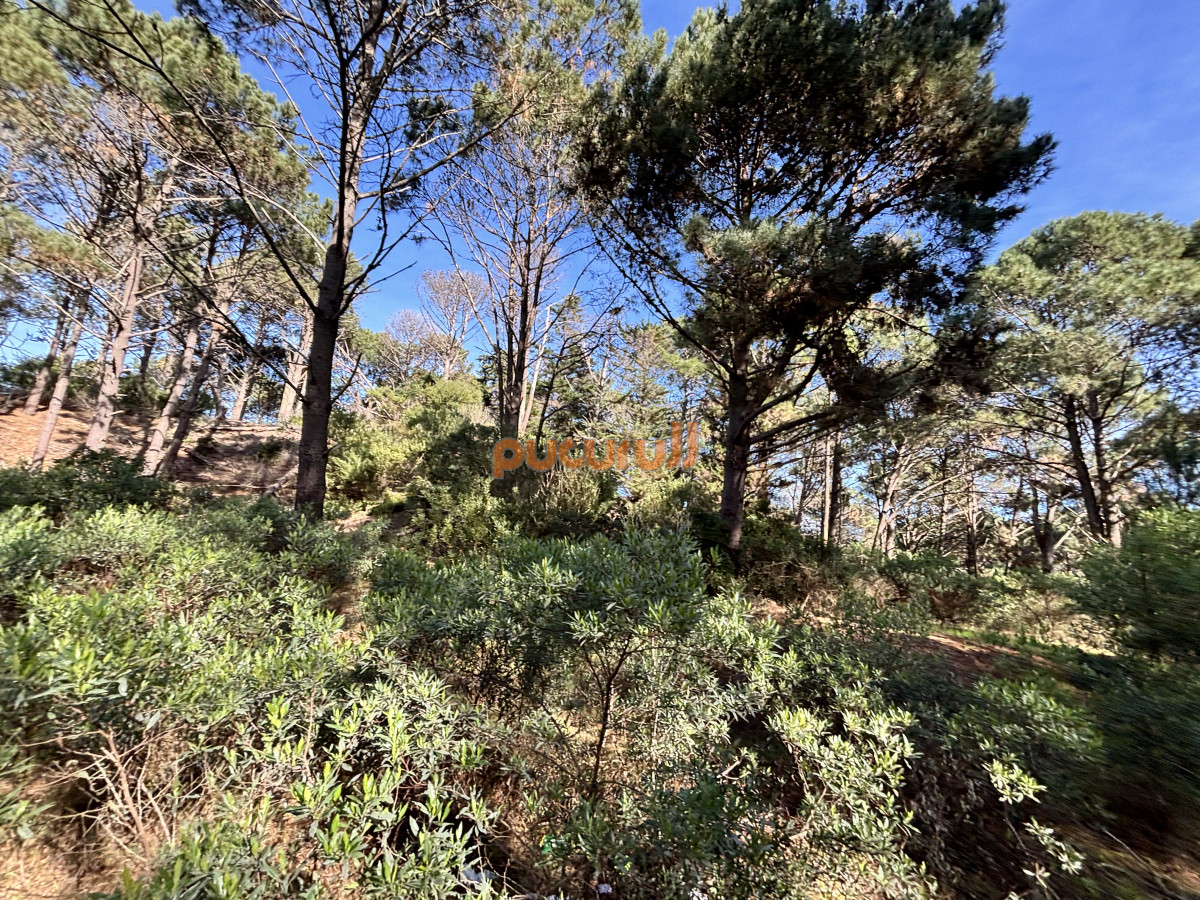 Club del Lago - GoPunta - Portal Inmobiliario de Punta del Este - Maldonado