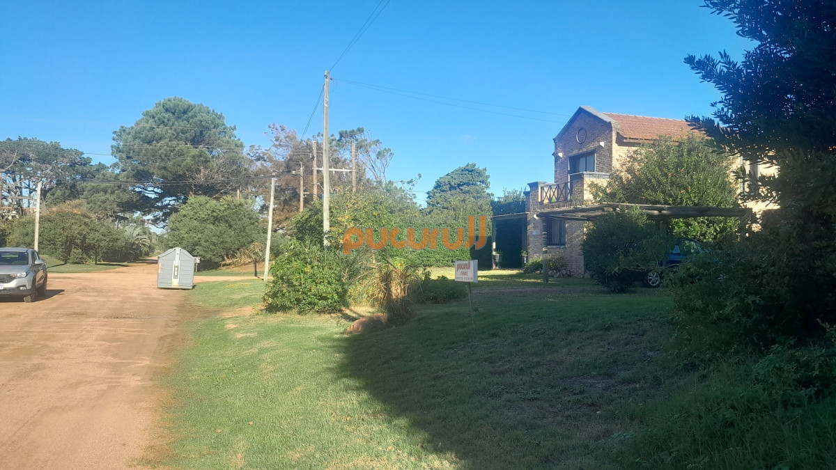 Tio Tom - GoPunta - Portal Inmobiliario de Punta del Este - Maldonado