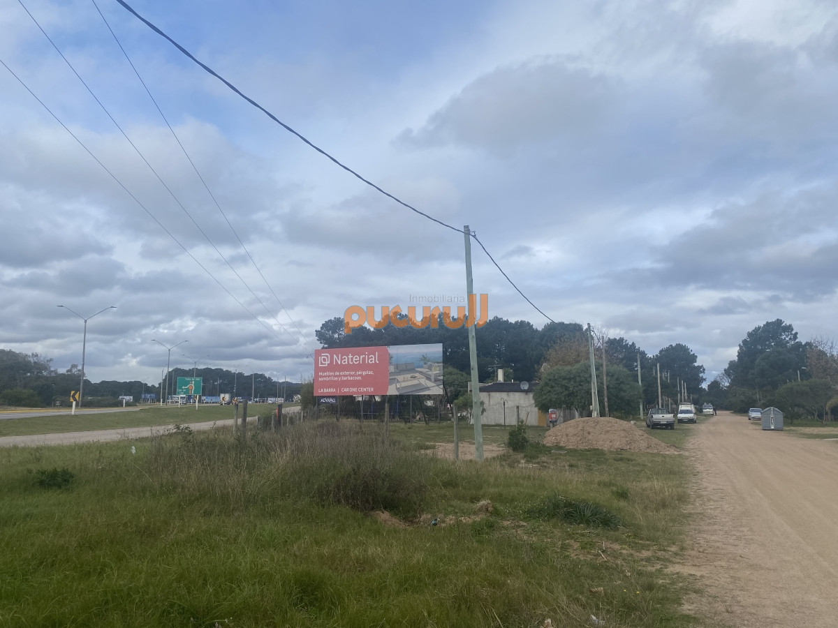 Tio Tom - GoPunta - Portal Inmobiliario de Punta del Este - Maldonado