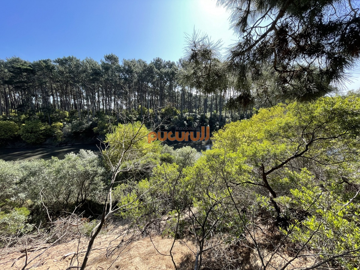 Terreno ID.1353 - Terreno en Punta Ballena, Chihuahua