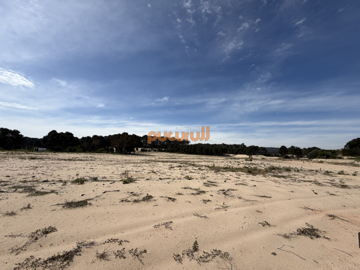 Terreno ID.3173 - Terreno de 1000 m² en La Serena - Punta Ballena