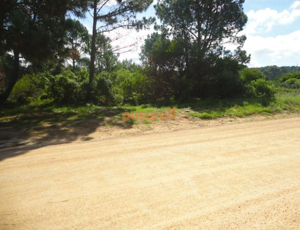 Terreno ID.834 - Terreno en Punta Ballena, Tio Tom