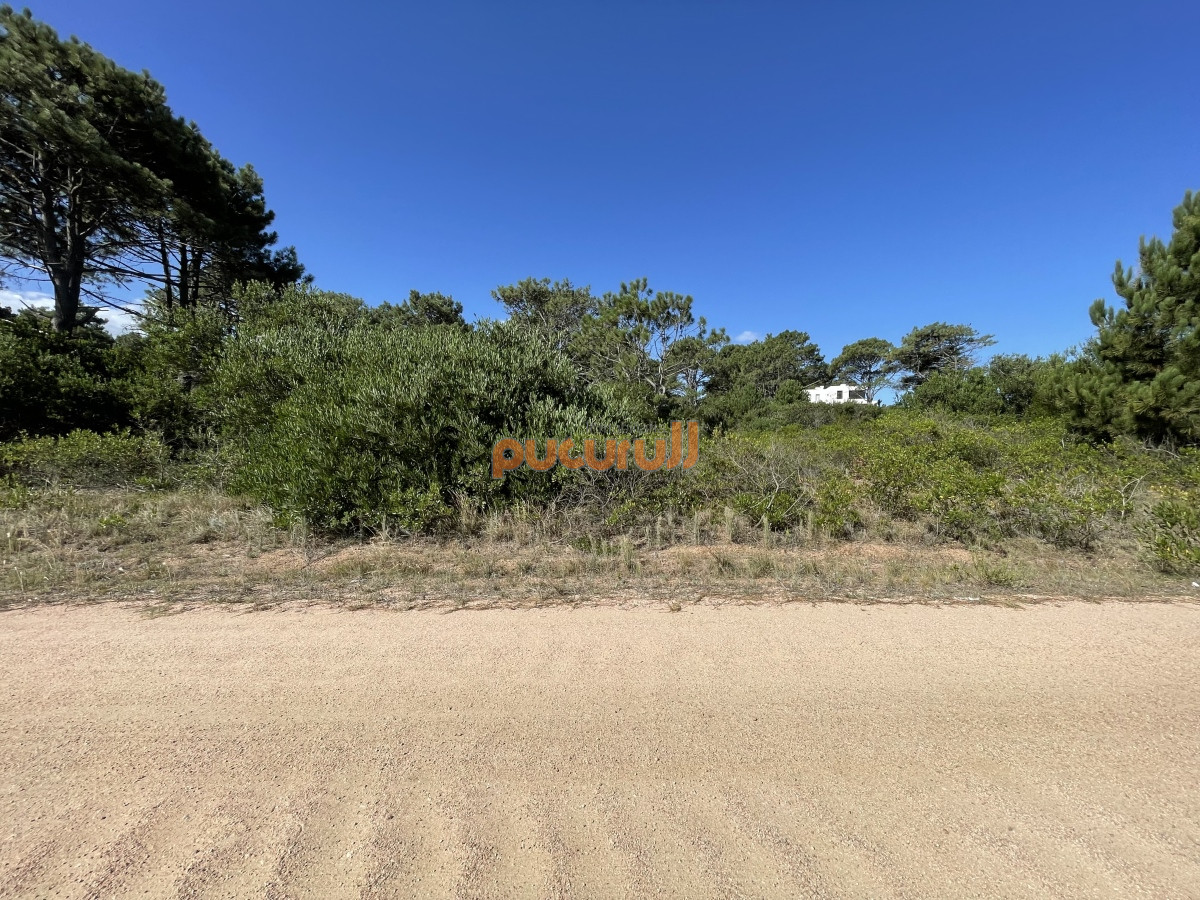 Propiedad - GoPunta - Portal Inmobiliario de Punta del Este - Maldonado