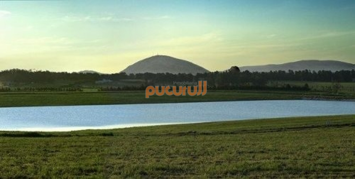 Laguna de los Cisnes - GoPunta - Portal Inmobiliario de Punta del Este - Maldonado