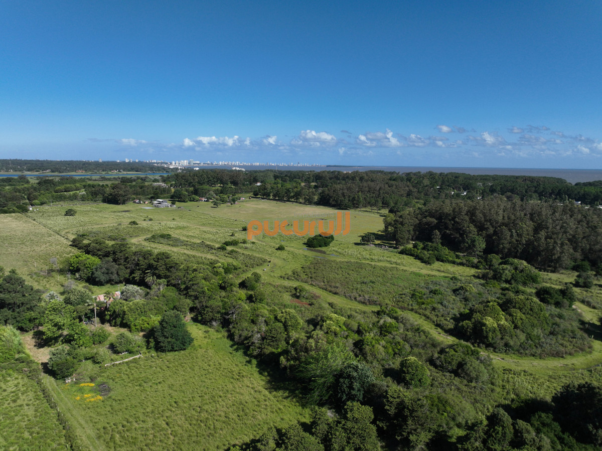 Terreno ID.2570 - La Martina: barrio privado.