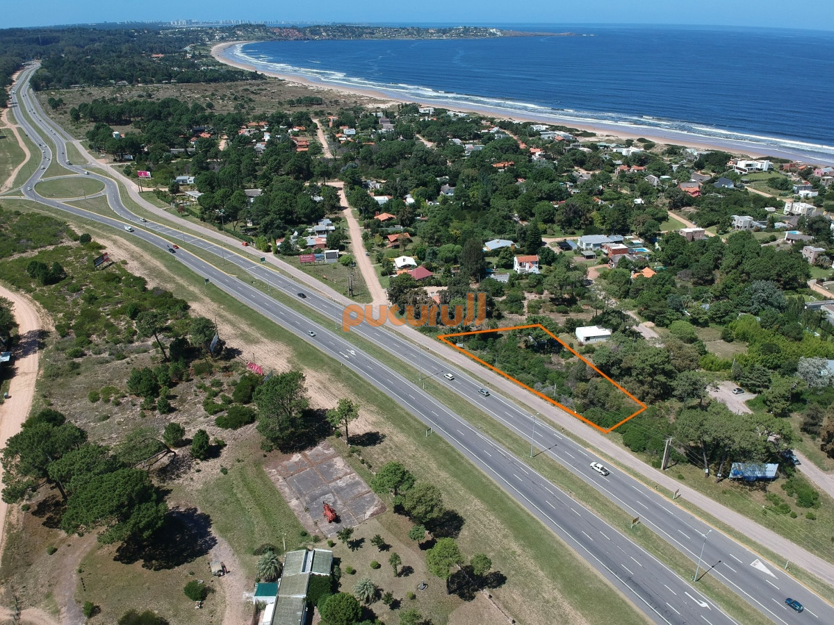 Tio Tom - GoPunta - Portal Inmobiliario de Punta del Este - Maldonado