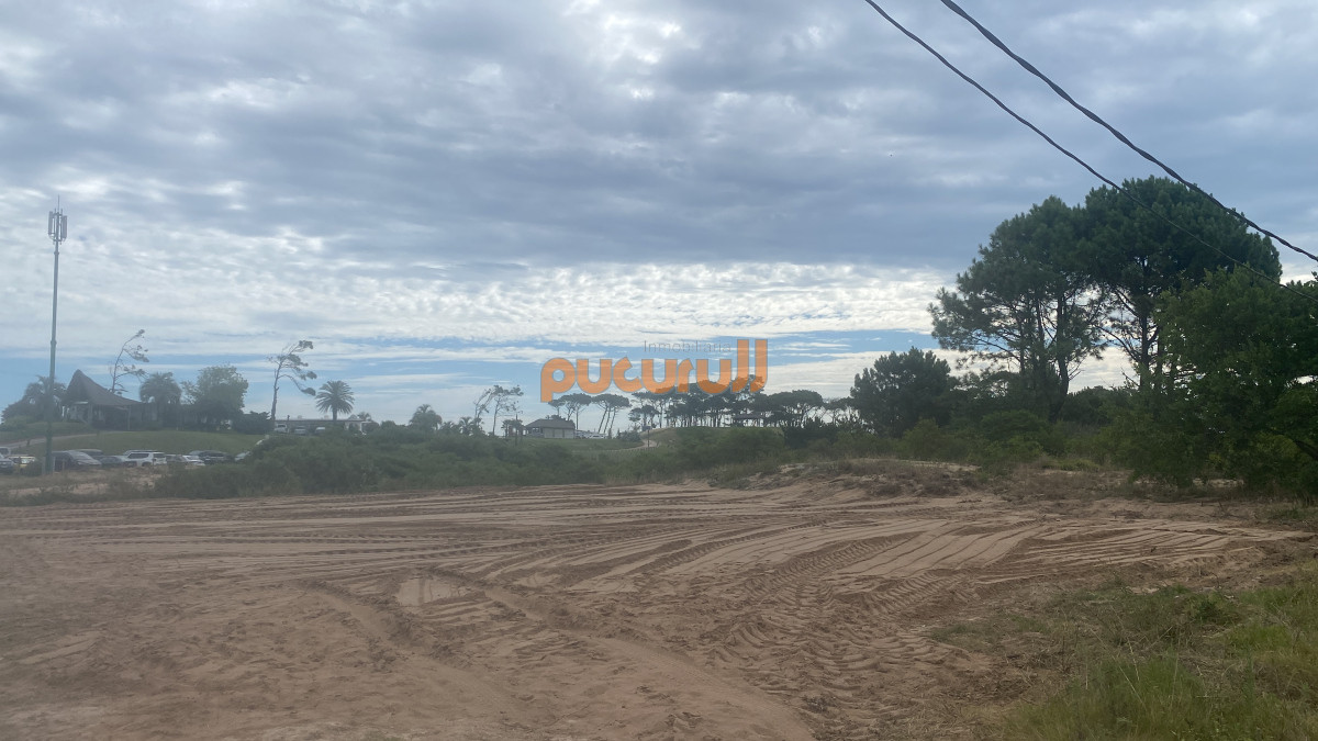 Tio Tom - GoPunta - Portal Inmobiliario de Punta del Este - Maldonado