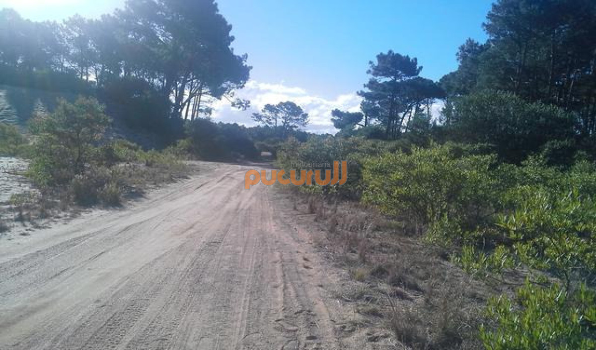 Terreno ID.2596 - Padron 835