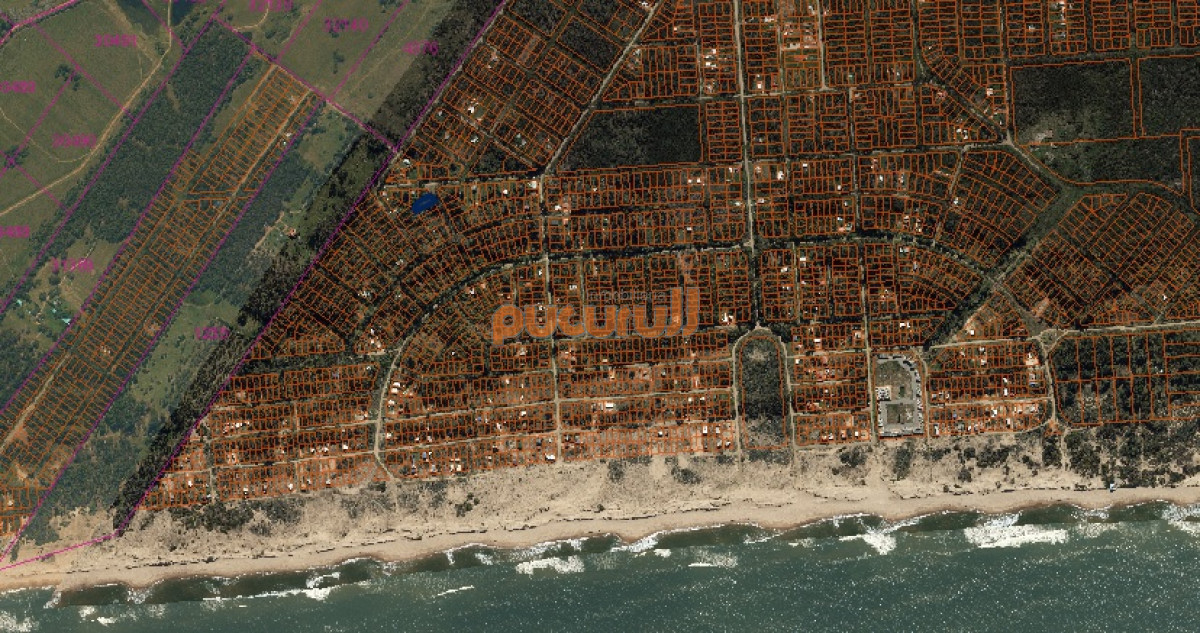 Sauce de Portezuelo - GoPunta - Portal Inmobiliario de Punta del Este - Maldonado