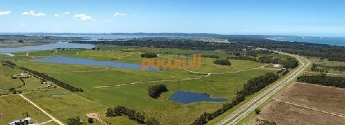 Laguna de los Cisnes - GoPunta - Portal Inmobiliario de Punta del Este - Maldonado