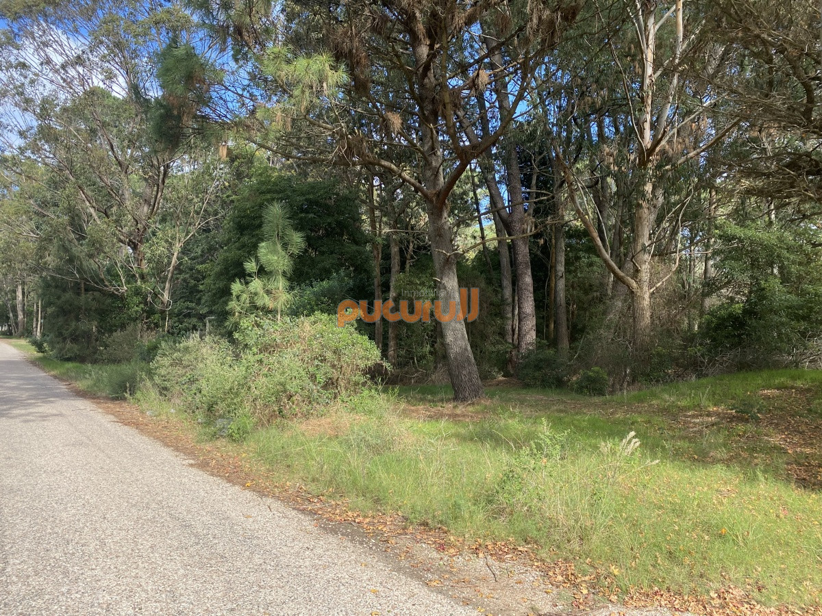 Terreno ID.1528 - Terreno en Portezuelo Bosque 